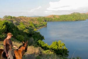 cheval à Nosy Be